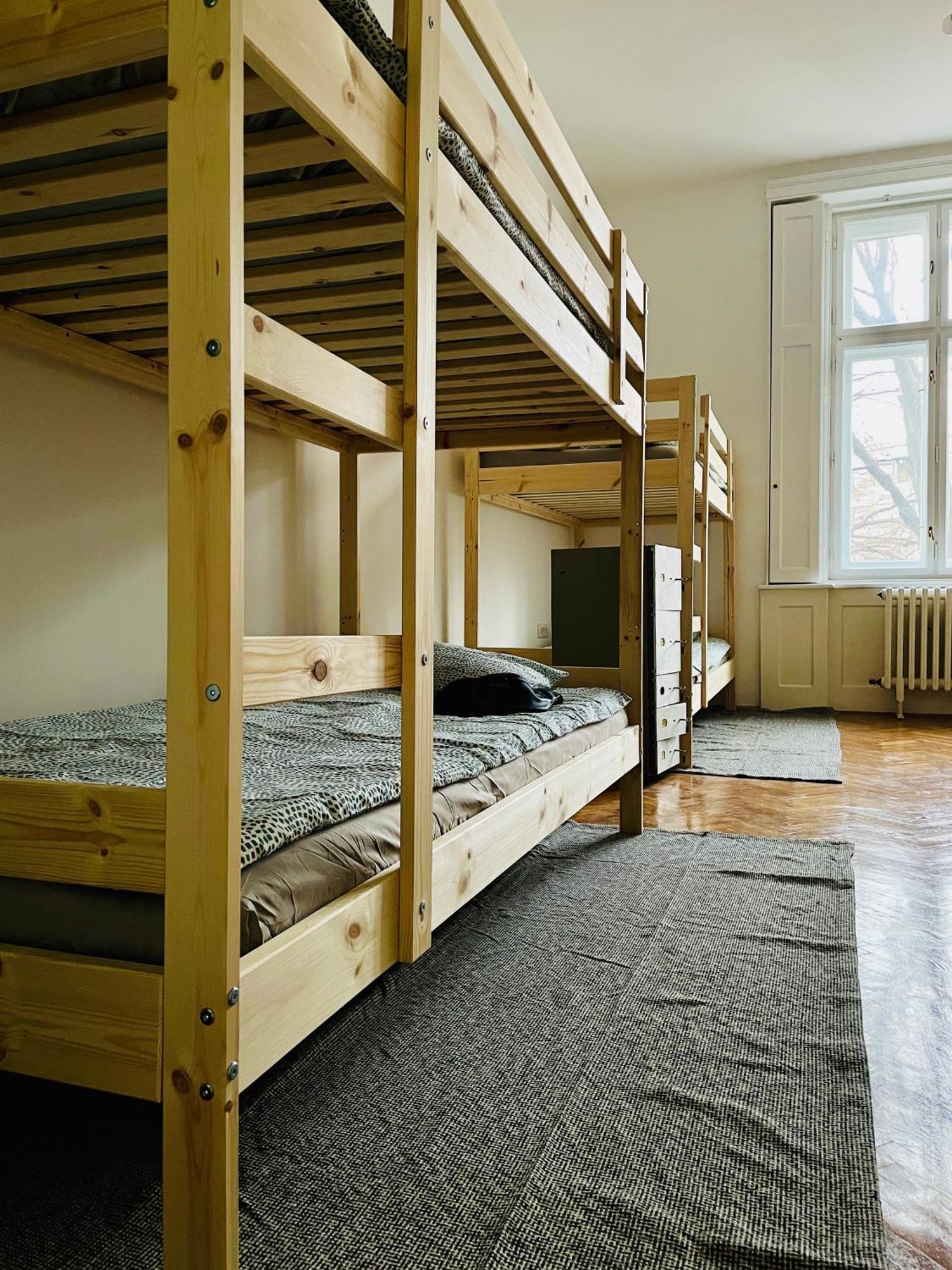 Hostel Green World Nowy Sad Zewnętrze zdjęcie