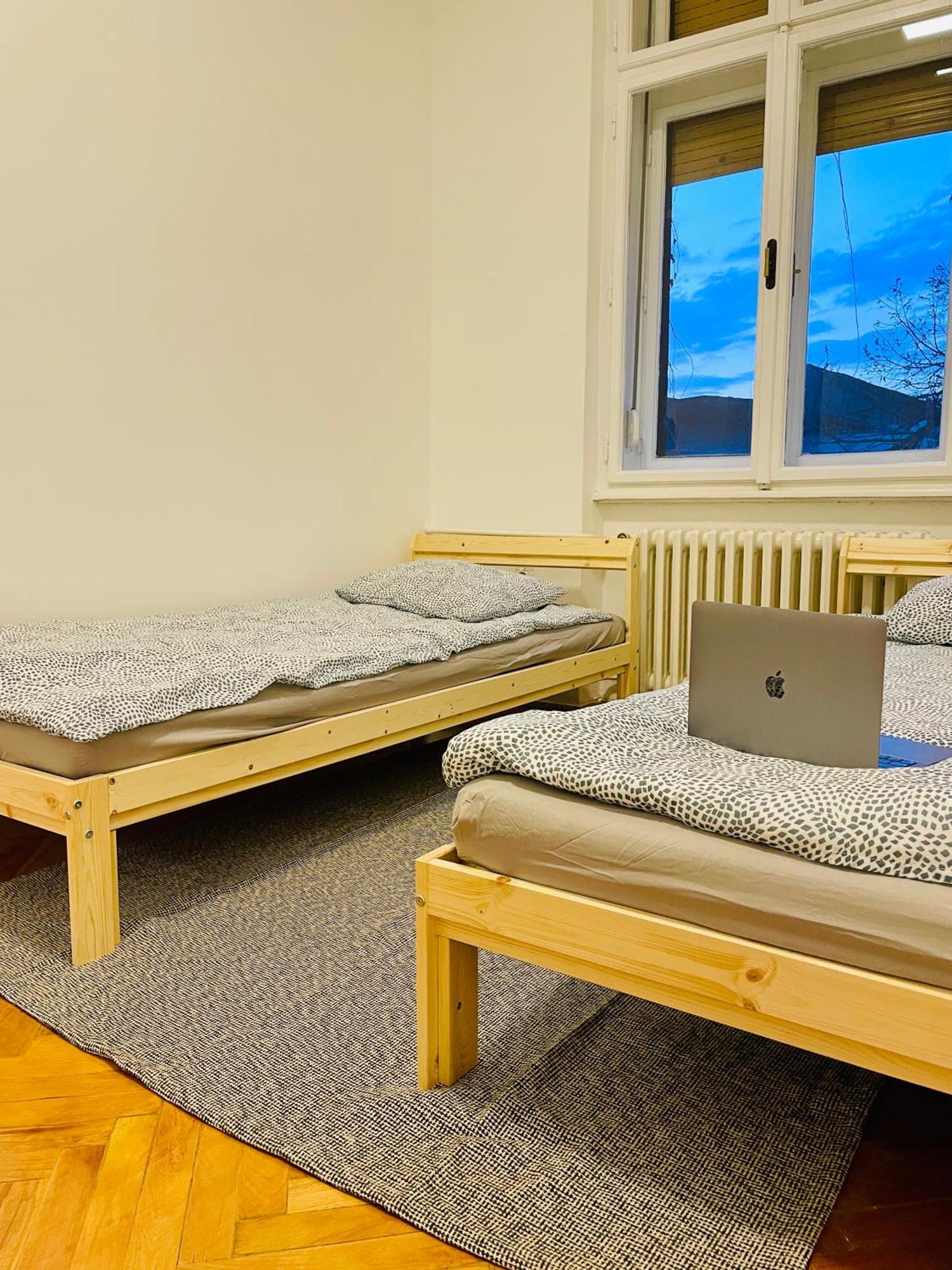 Hostel Green World Nowy Sad Zewnętrze zdjęcie